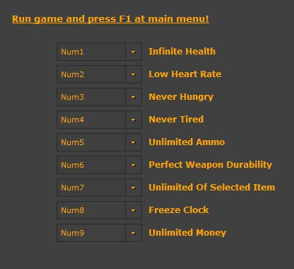 Deadly Premonition - Trainer +9