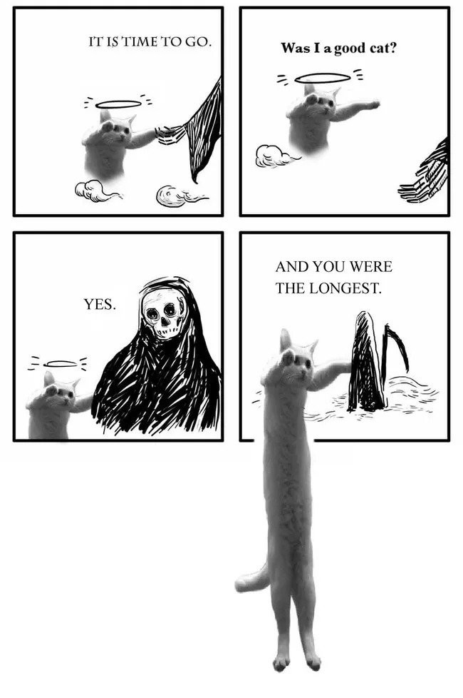 insertLinkedImg