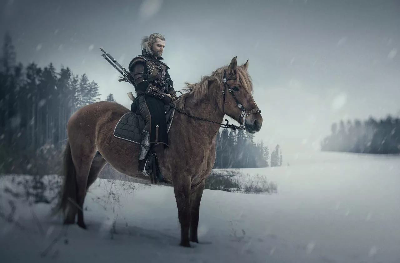 The witcher 3 geralt horse фото 92