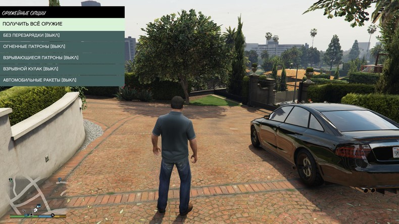 Simple Native Trainer Rus + Script Hook (Русский SNT)