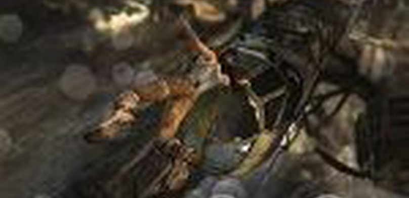 Tomb Raider. Превью.