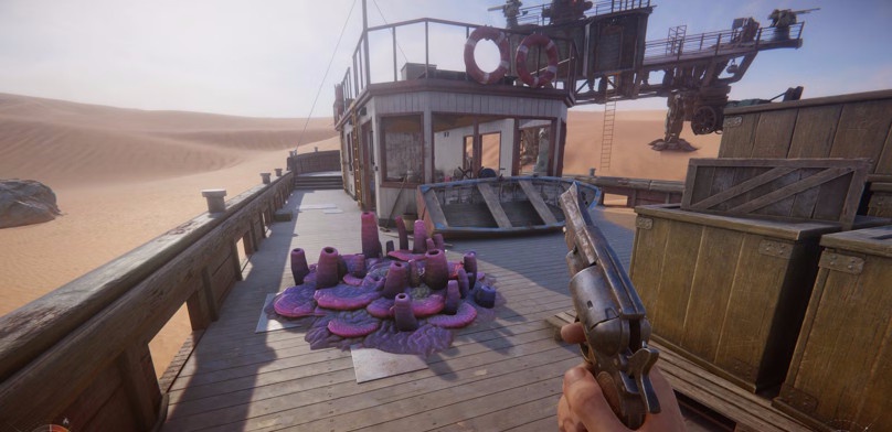 Где найти Weird Coral и Coral Chunks в Sand: Raiders of Sophie