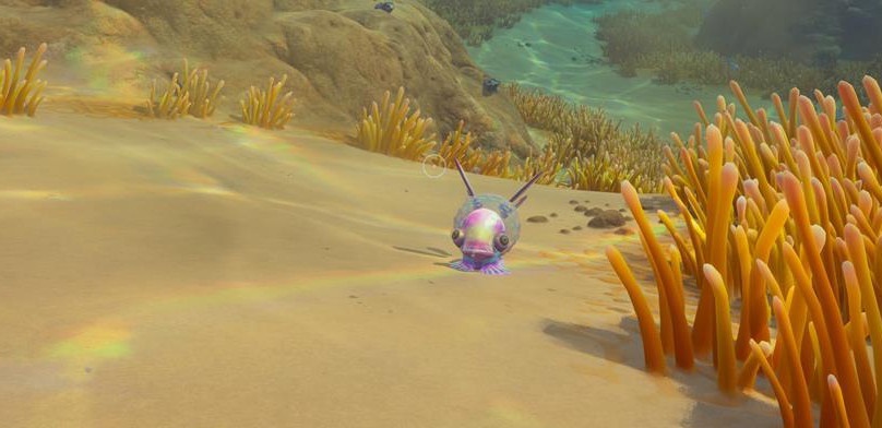Как достать еду и воду в Subnautica 2