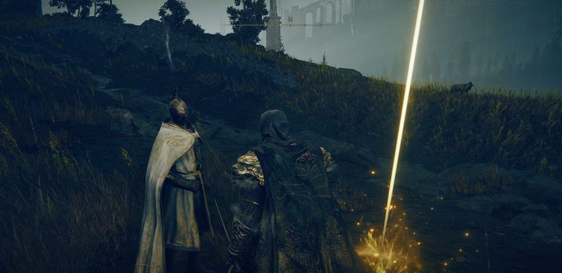 Где найти и как выполнить задания Игольщицы Леды в Elden Ring Shadow of the Erdtree