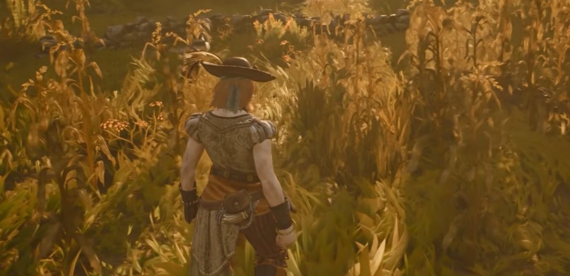 Как найти кукурузу в Windrose