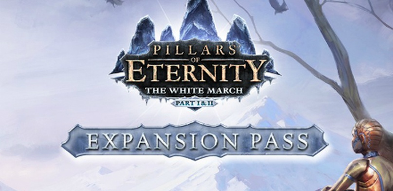 Обзор Pillars of Eternity: The White March — Part 1. Поход на север