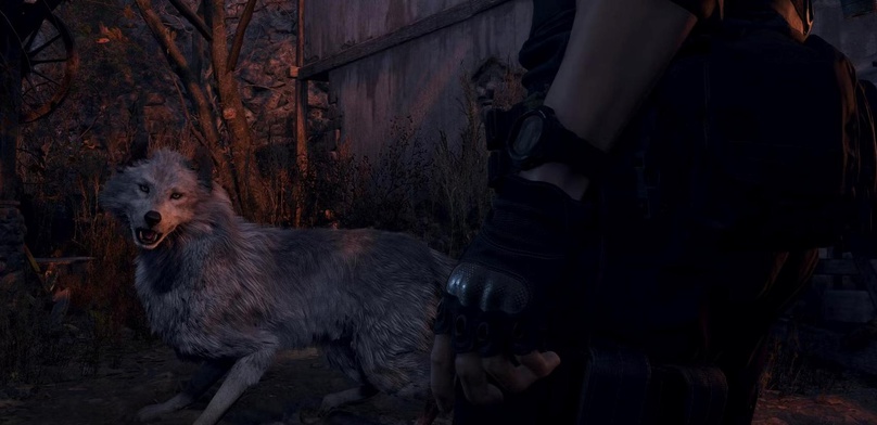Как спасти собаку в Resident Evil 4 Remake