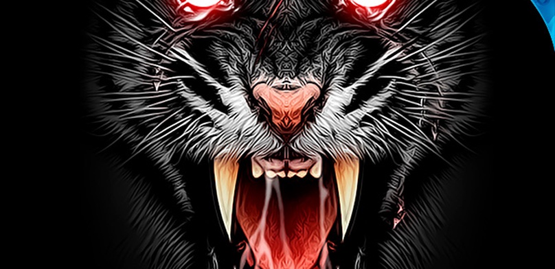 Обзор Drift King: Survival. Дрифтуем, сегодня мы с тобой дрифтуем