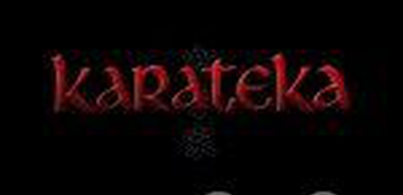Karateka. Обзор.