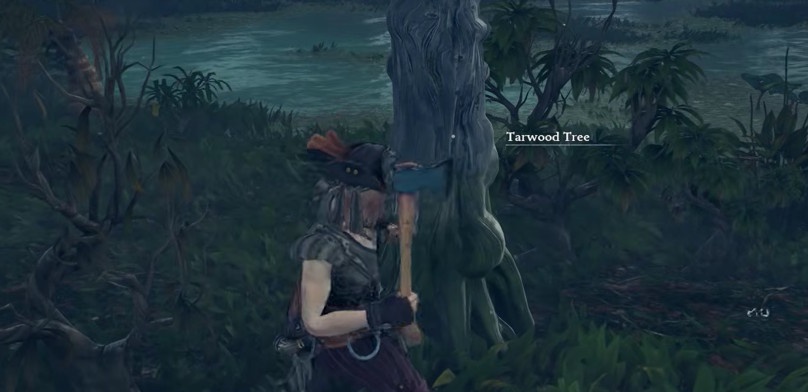 Как добыть Деготь в Windrose