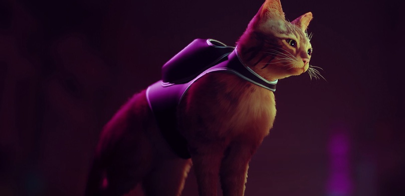 Обзор Stray. Котик в жилетке покоряет мир киберпанка — но оправдан ли весь этот хайп?