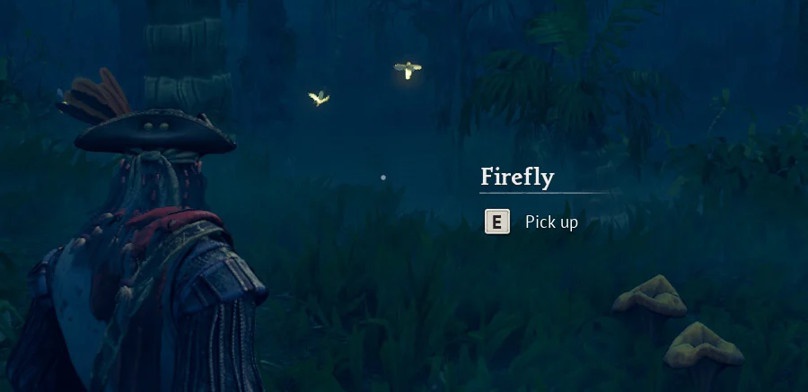 Какие ресурсы есть в Проклятых болотах в Windrose