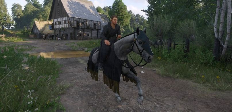 Что делать, если лошадь без сознания в Kingdom Come Deliverance 2