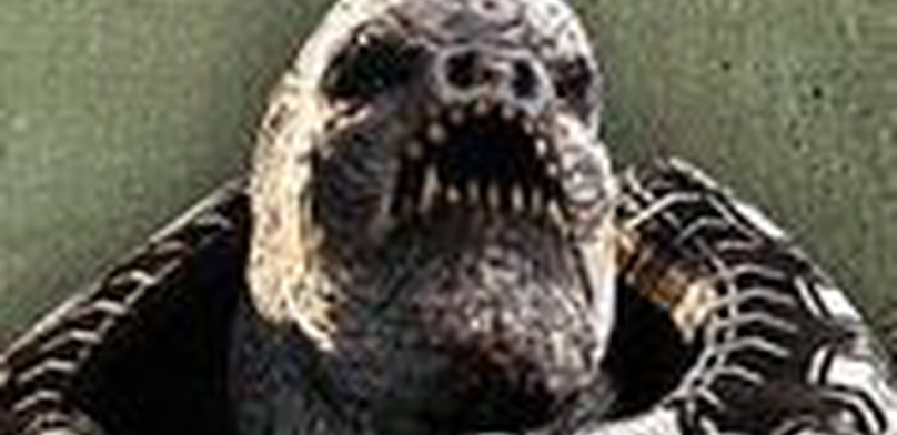 Gears of War 3: RAAM's Shadow. Ревью