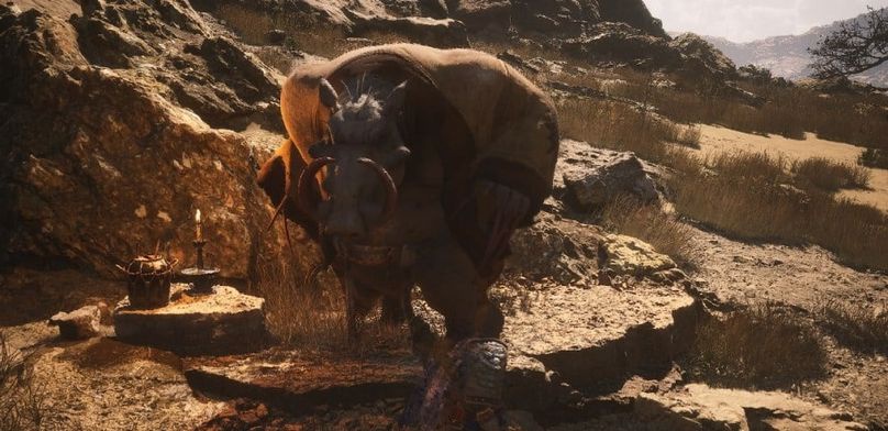 Как помочь пьяной свинье в Black Myth: Wukong