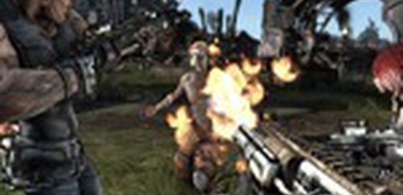 Borderlands: Обзор