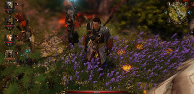 Обзор Divinity: Original Sin: песнь льда, пламени и отравленной зеленой жижи