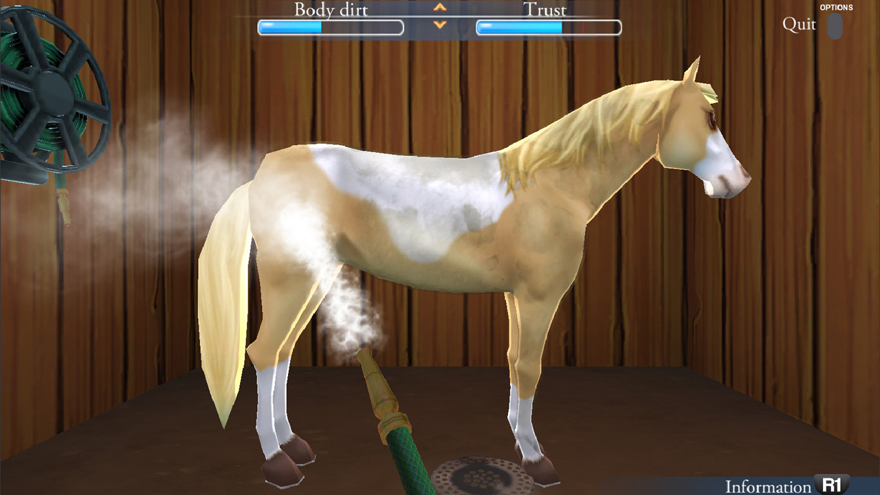 Horse life игра